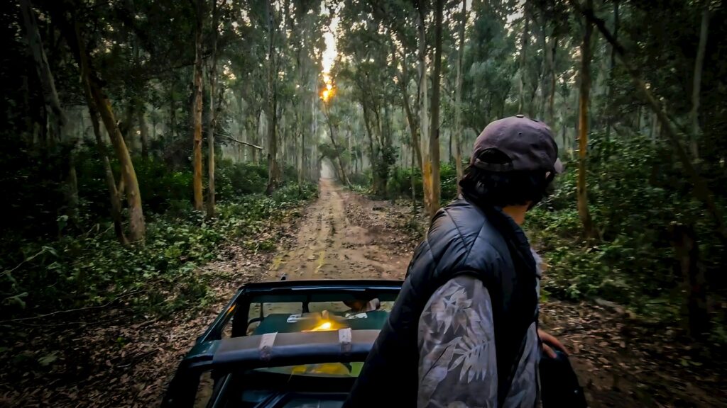 Jim Corbett