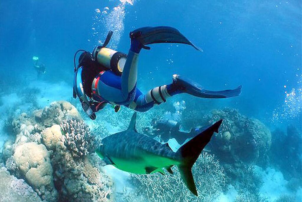 Scuba Diving