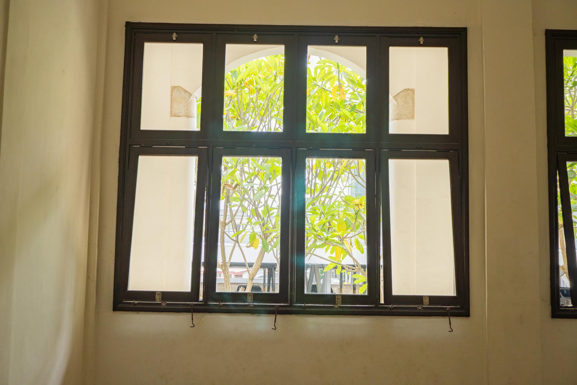 Why Evolution Windows are the Future of Eco-Friendly Home Design?